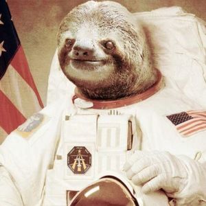 Meet your Posher, Dylan